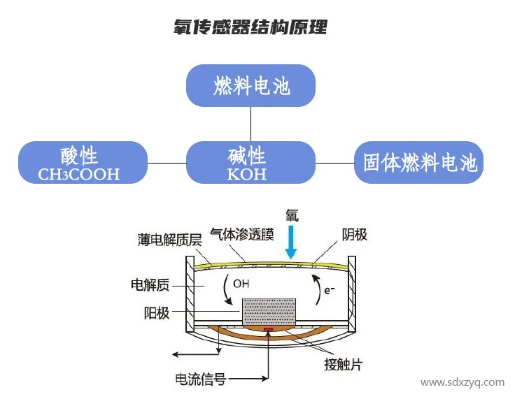 1693388545413291.png 傳感器結構原理.png